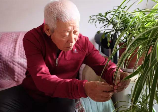 9393体育·(中国)官方网站